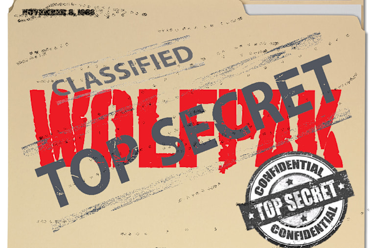 WOLFPAK Dossier / GOLDSTONE